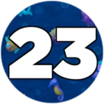 Level 23