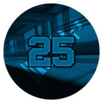 Level 25