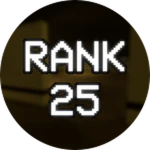 Level 25