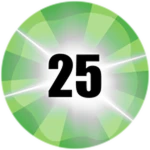 Level 25