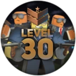 Level 30