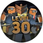 Level 30