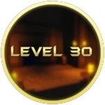 Level 30