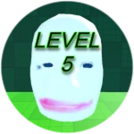 Level 5