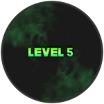 Level 5