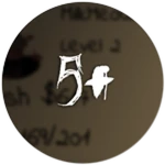 Level 5