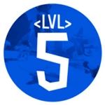 Level 5