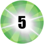 Level 5