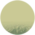 Level 7