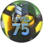 Level 75