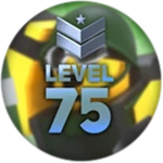 Level 75
