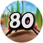 Level 80