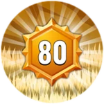 Level 80