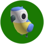 Macaw
