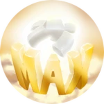 Max Level
