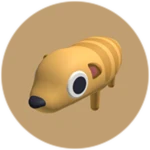 Meerkat