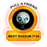 Meet Rozzum 7134