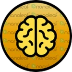Memory Master