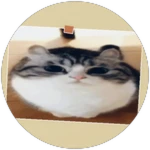 Meow