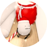 Merry Christmas 2024