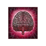 Mindfractured