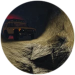Miner