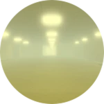 Mist Survivor