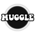 Muggle's Logic