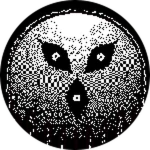 my many eyes