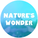 Nature's Wonder
