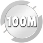 Net Worth - 100M