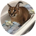 new money