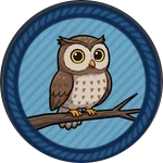 Night Owl