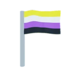 nonbinary flag