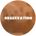 Observation