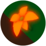 Orange Flower