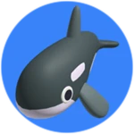 Orca