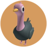 Ostrich