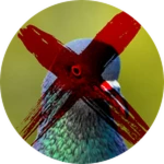 Owner Killer