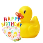 Owner's Birthday!