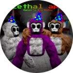 Owner's birthday