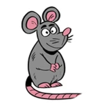 Pet Rat