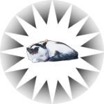 Pet The Cat