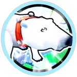 Pet the Polar Bear!