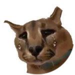PETA