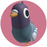 Pigeon