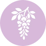 Plant a Wisteria