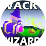 Played Wacky Wizards