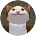 Popcat Piggy
