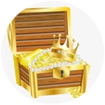 Premium coins